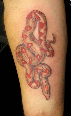 3D Snakes Tattoo on Forearms
