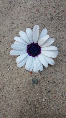 Runzelfuesschen Freibad mit Kleinkind Elternblog Wespen und Kleinkind Runzelfuesschen Freibad mit Kleinkind Elternblog Wespen und Kleinkind