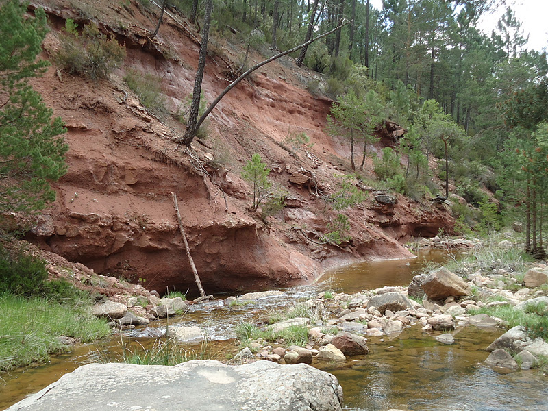 MAGIA SERRANA: ALTO GUADAZAÓN (2ª Parte)