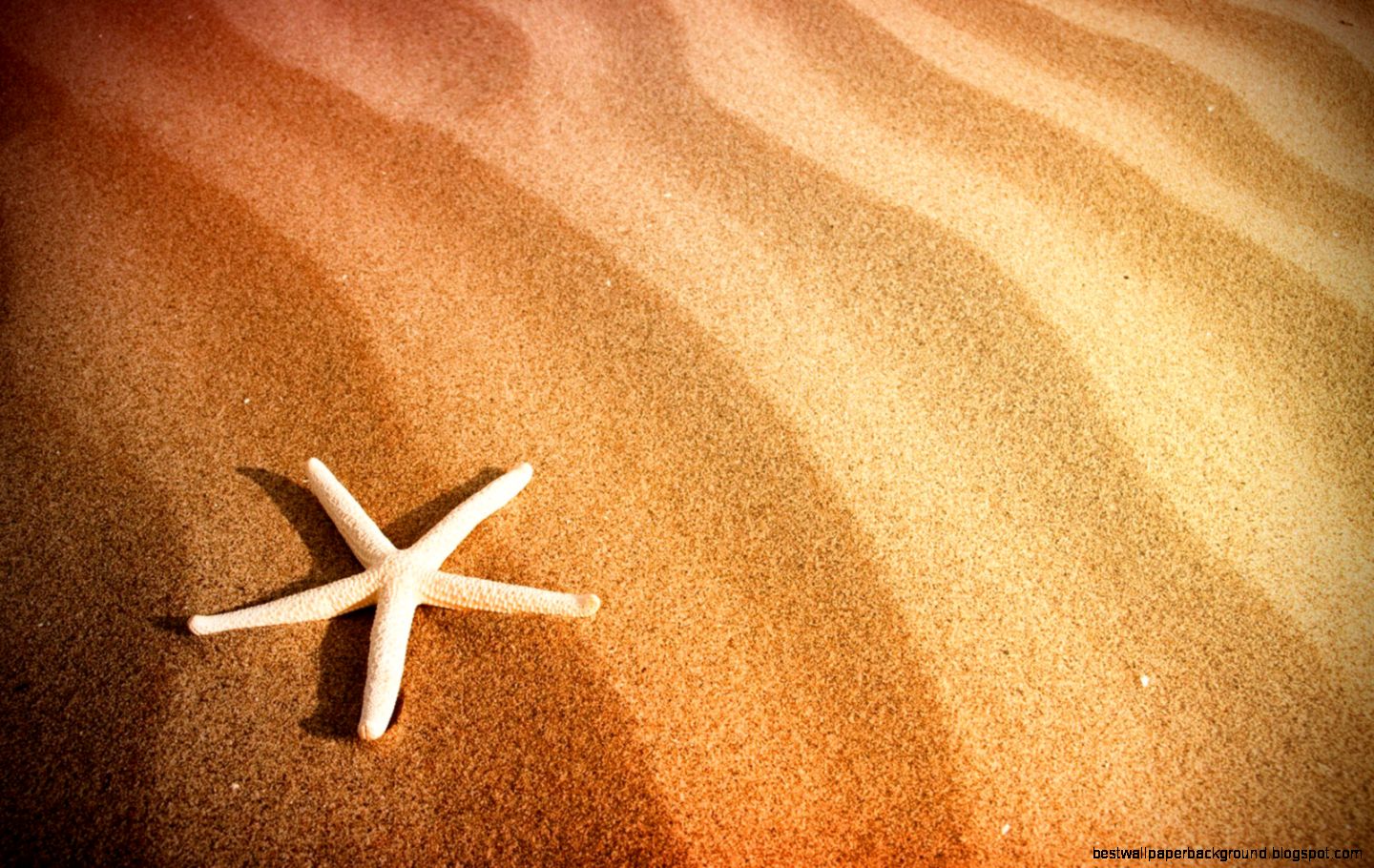 40 Beautiful Beach Wallpapers for your desktop 40 Beautiful Beach Wallpapers for your desktop