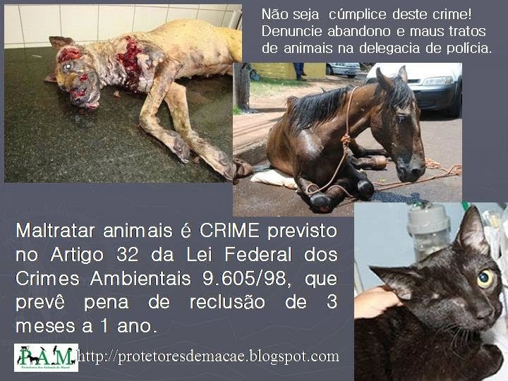 Quais são os riscos da evasão escolar? Quais são os riscos da evasão escolar?