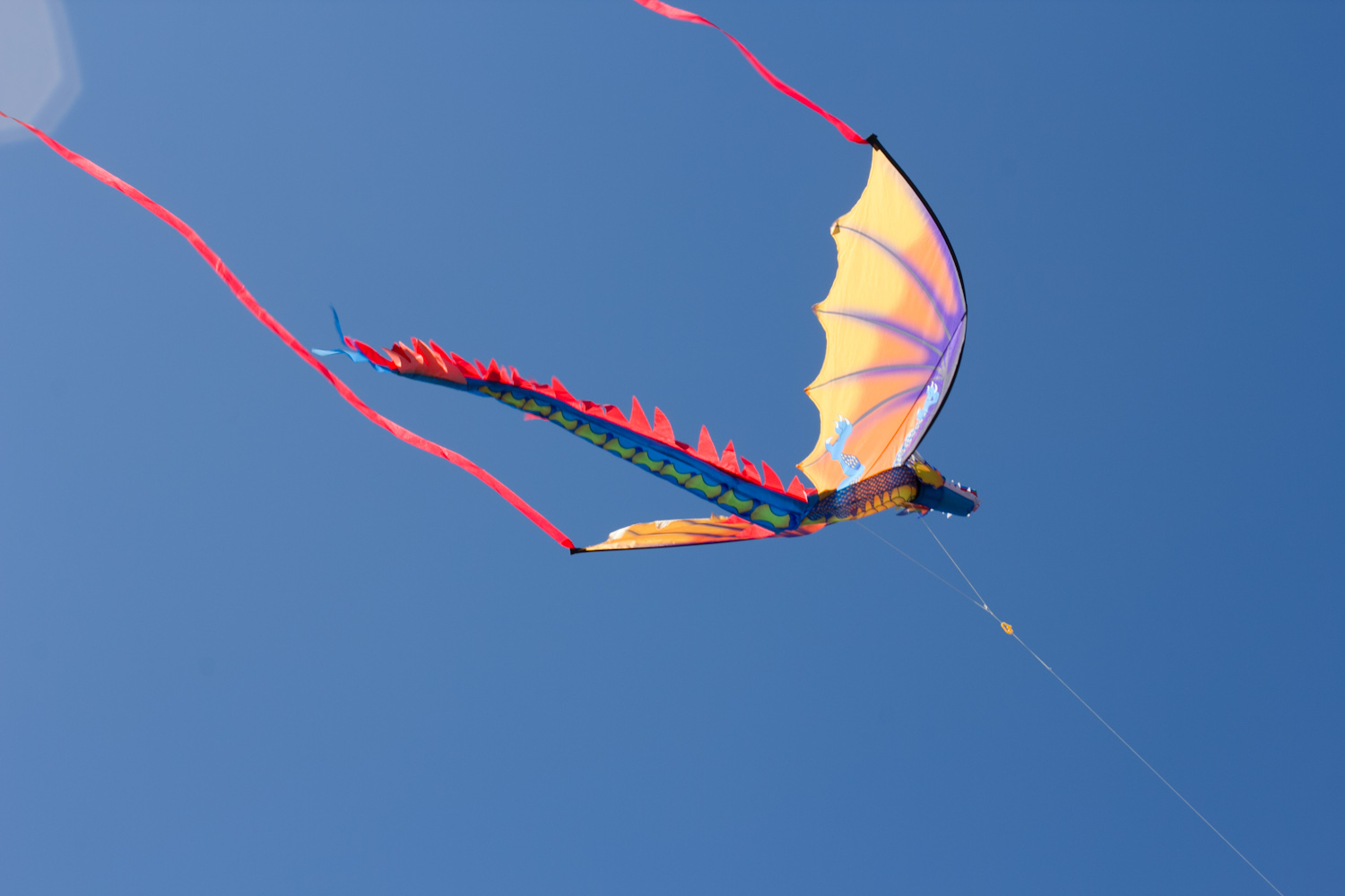 "We do it the Hard Way" Dragon Kite at Ocean Shores