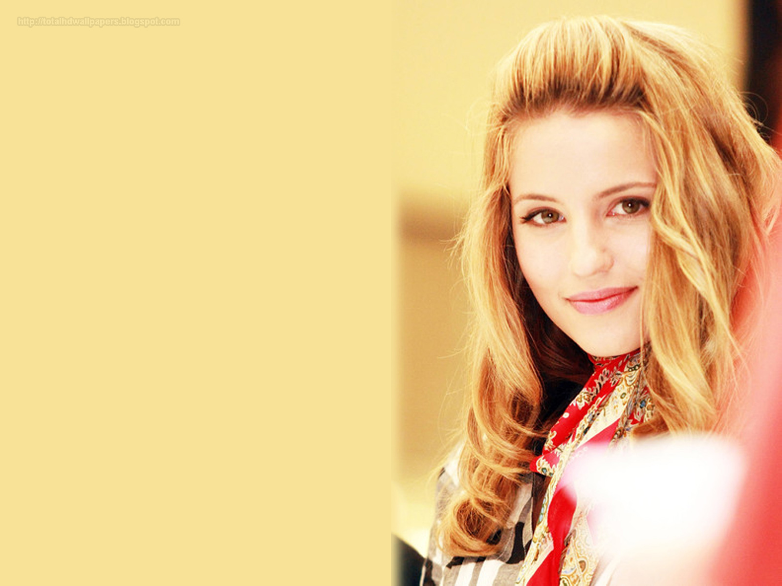 Hollywood actress wallpapers: Dianna Agron hd wallpapers