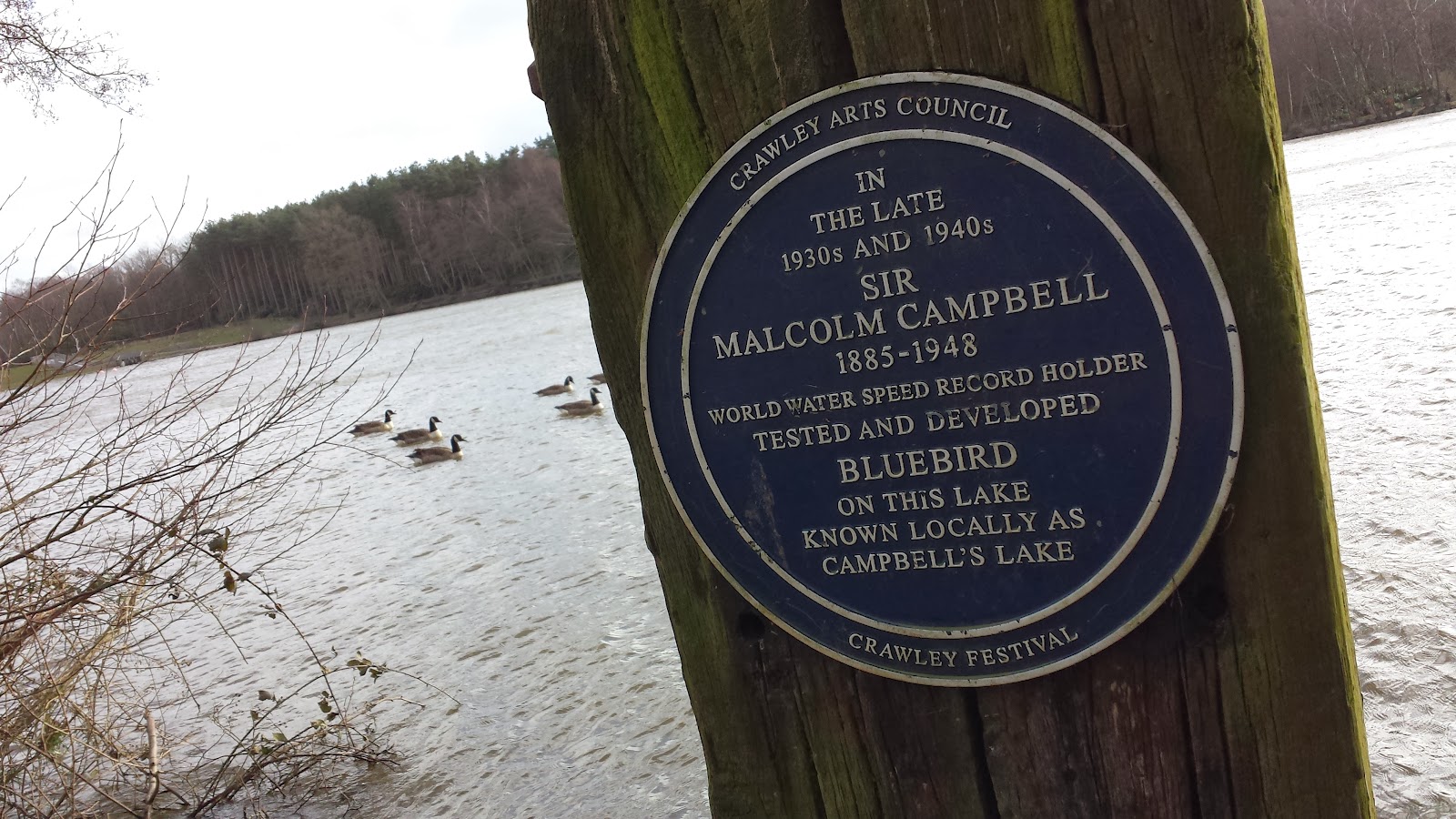 new balance 1080v3 bluebird