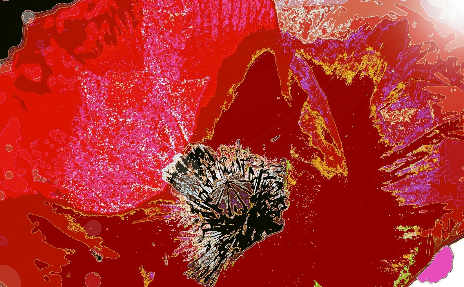 Der Durch Die Tur Geher Hahnenkampf Album 2020 05 22