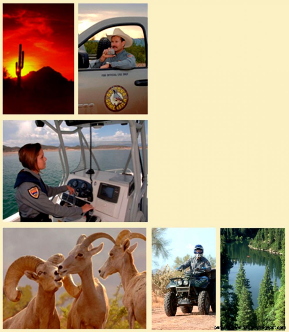 Arizona Game amp Fish Department Employment Arizona Game amp Fish Department Employment