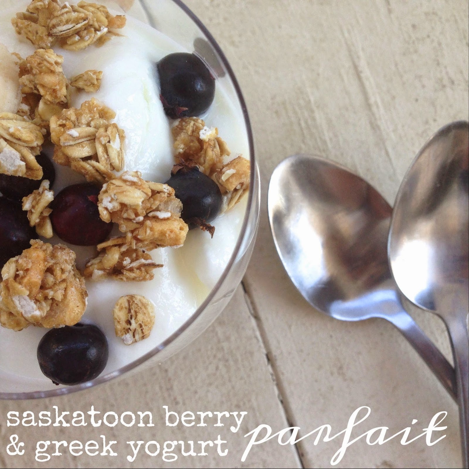 Saskatoon Berry & Greek Yogurt Parfait