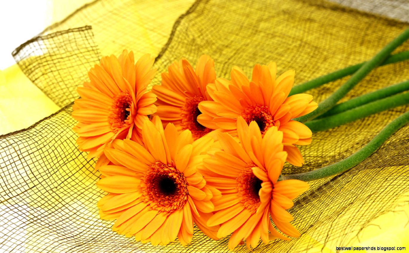 Desktop Wallpaper Flowers High Resolution wallpaper Desktop Wallpaper Flowers High Resolution wallpaper