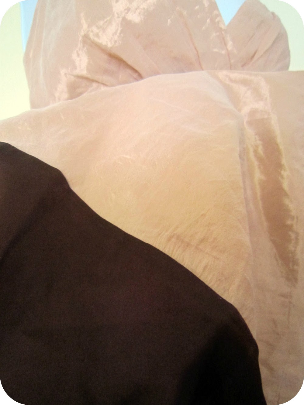 Bcbg Champagne Gown
