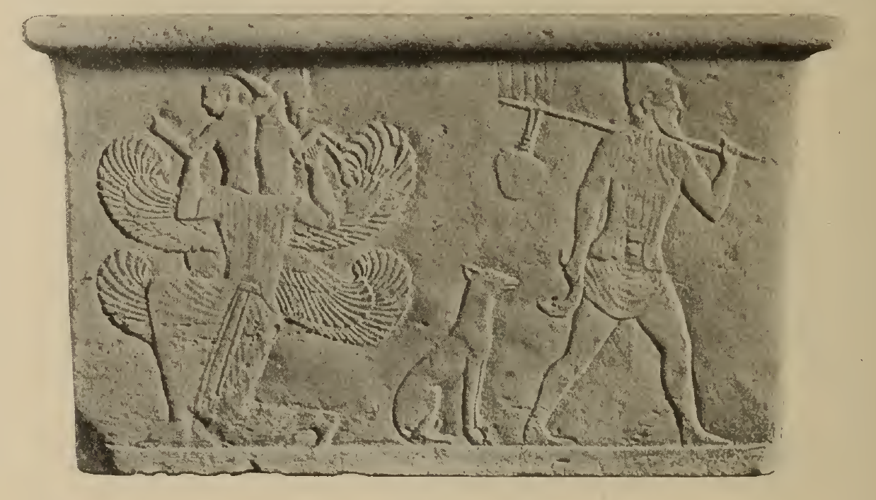 Get Truefastness 2017 Free Wallpaper Truefastness 2017 For Android