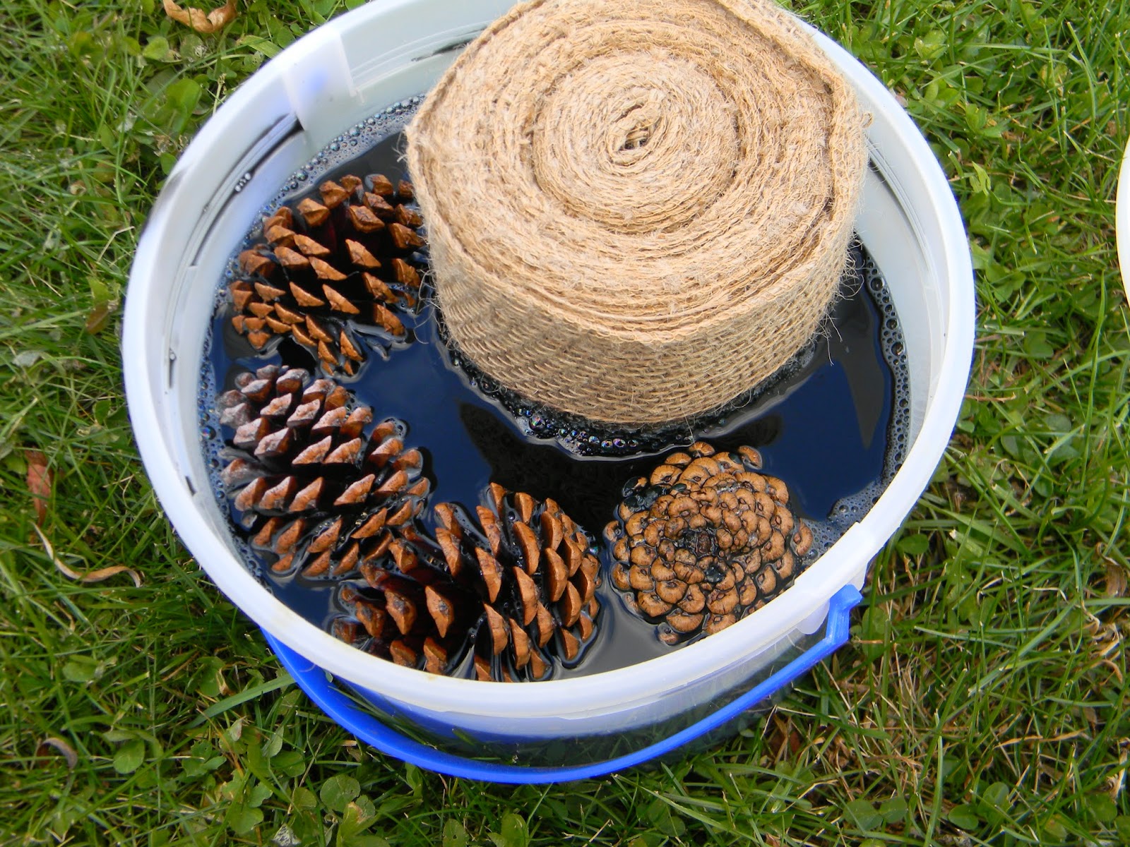 Artistic Endeavors 101: Dyeing Pine Cones with RIT Dye