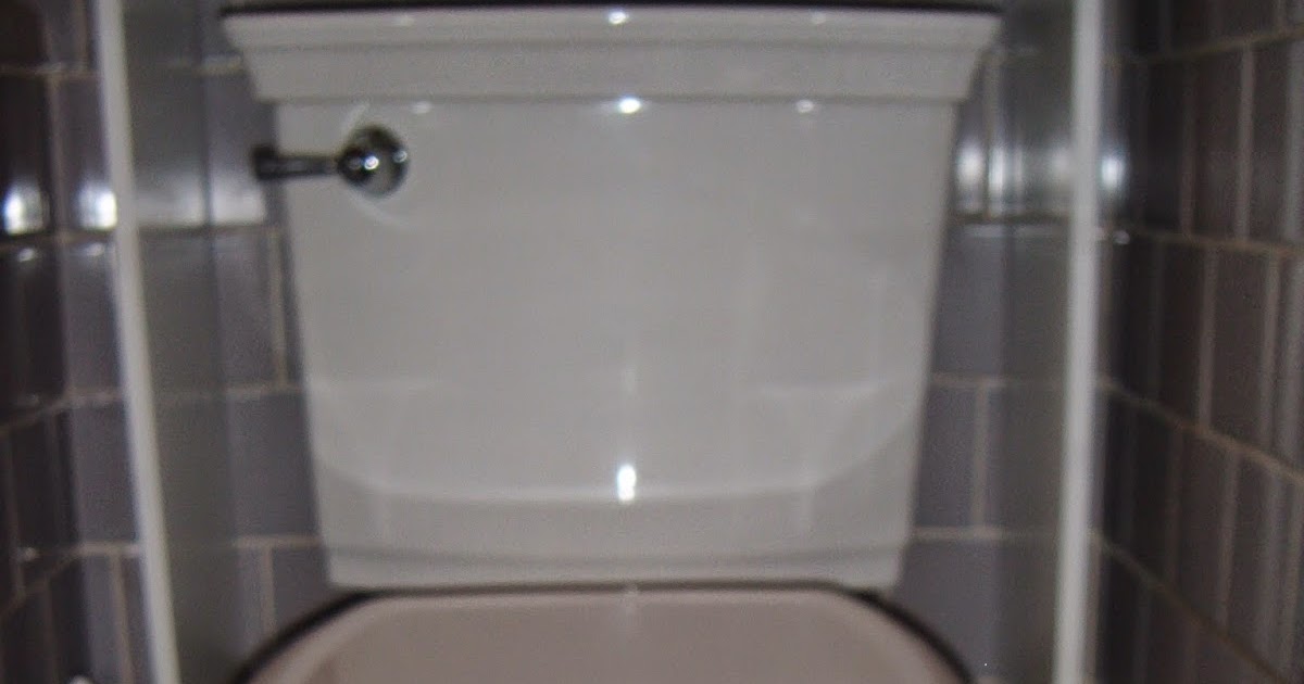The ABCD Diaries American Standard Optum VorMax Toilet Delivers a