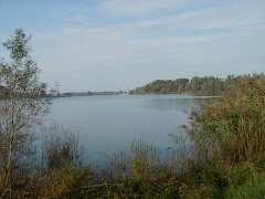 Il "lago" del Belgiardino