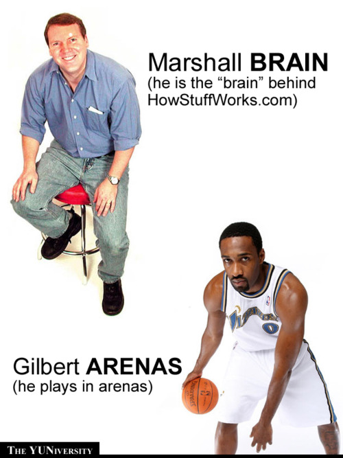 eOnomastics Aptronym, aponym, apronym, namephreaks