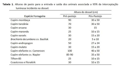 FIG2