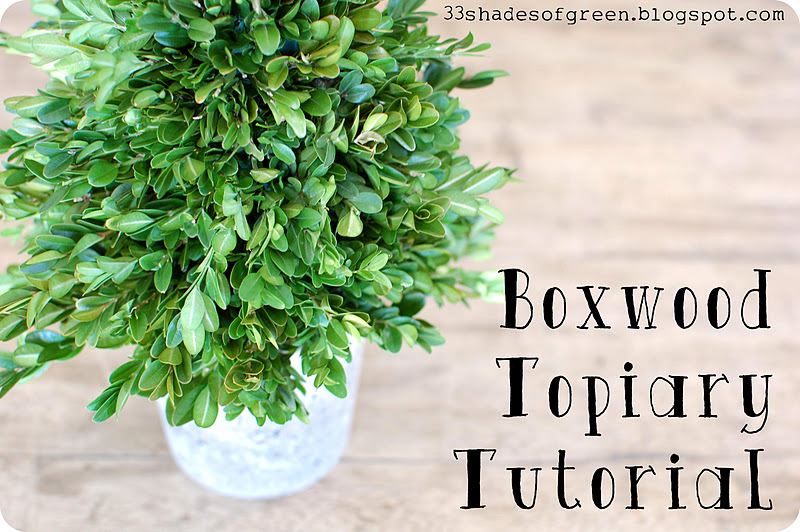 33 Shades of Green Handmade Holidays Fresh Boxwood Topiary Tutorial