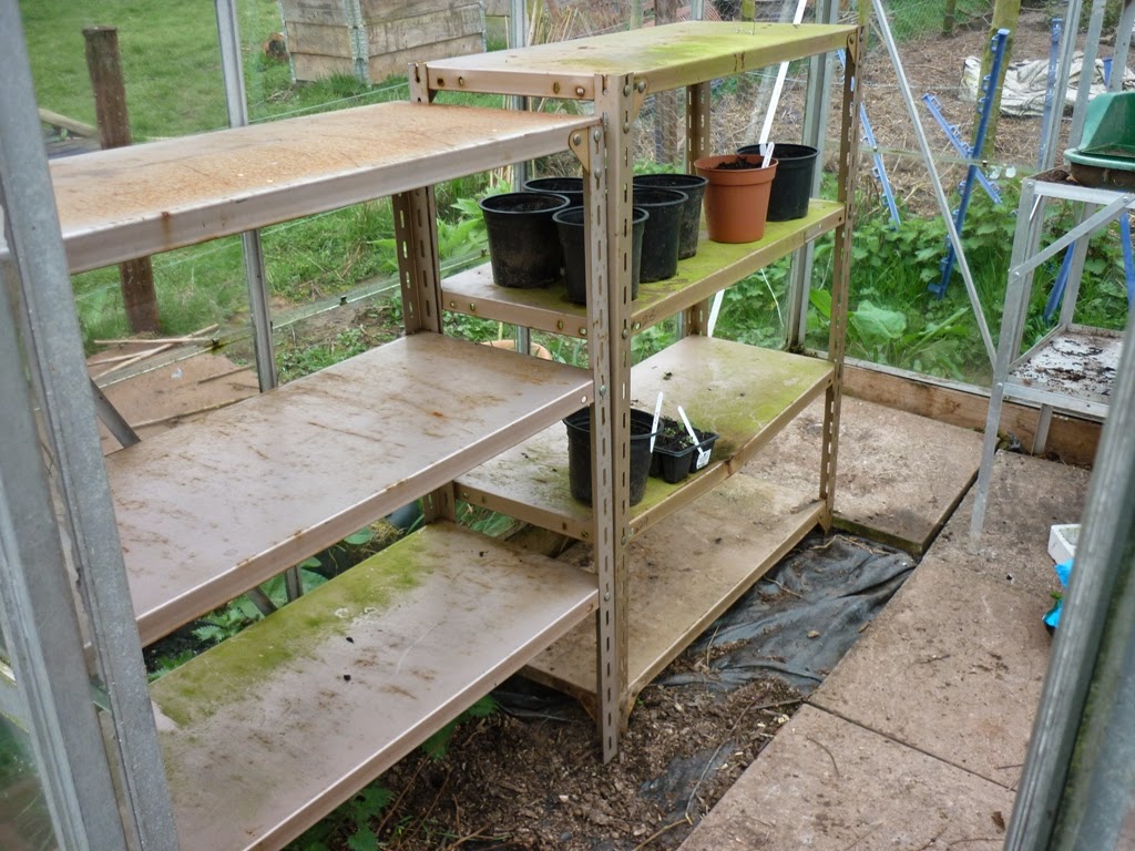An English Homestead Budget Greenhouse Staging
