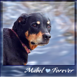 Our Friend, Mabel Lou