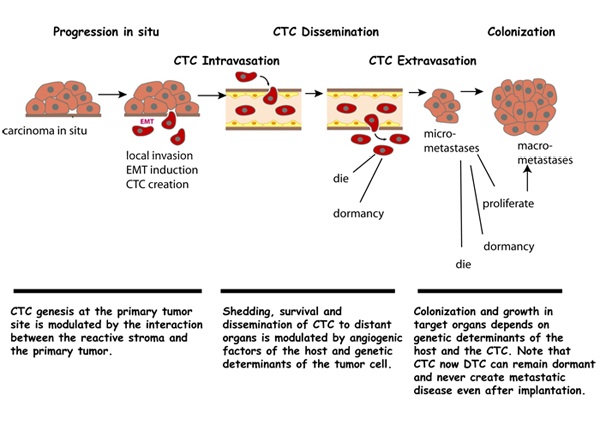 date match de barrage