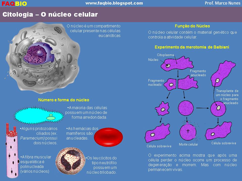 Carlos Azevedo Biologia Celular Molecular Pdf Reader