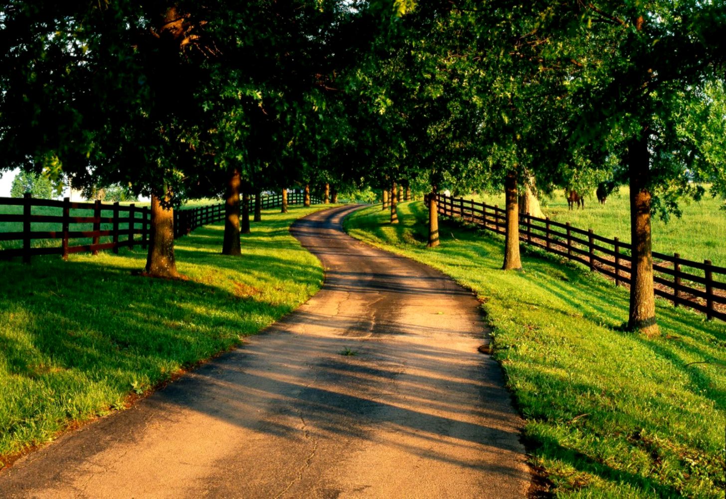 pretty nature backgrounds image