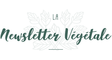 Inscription Newsletter