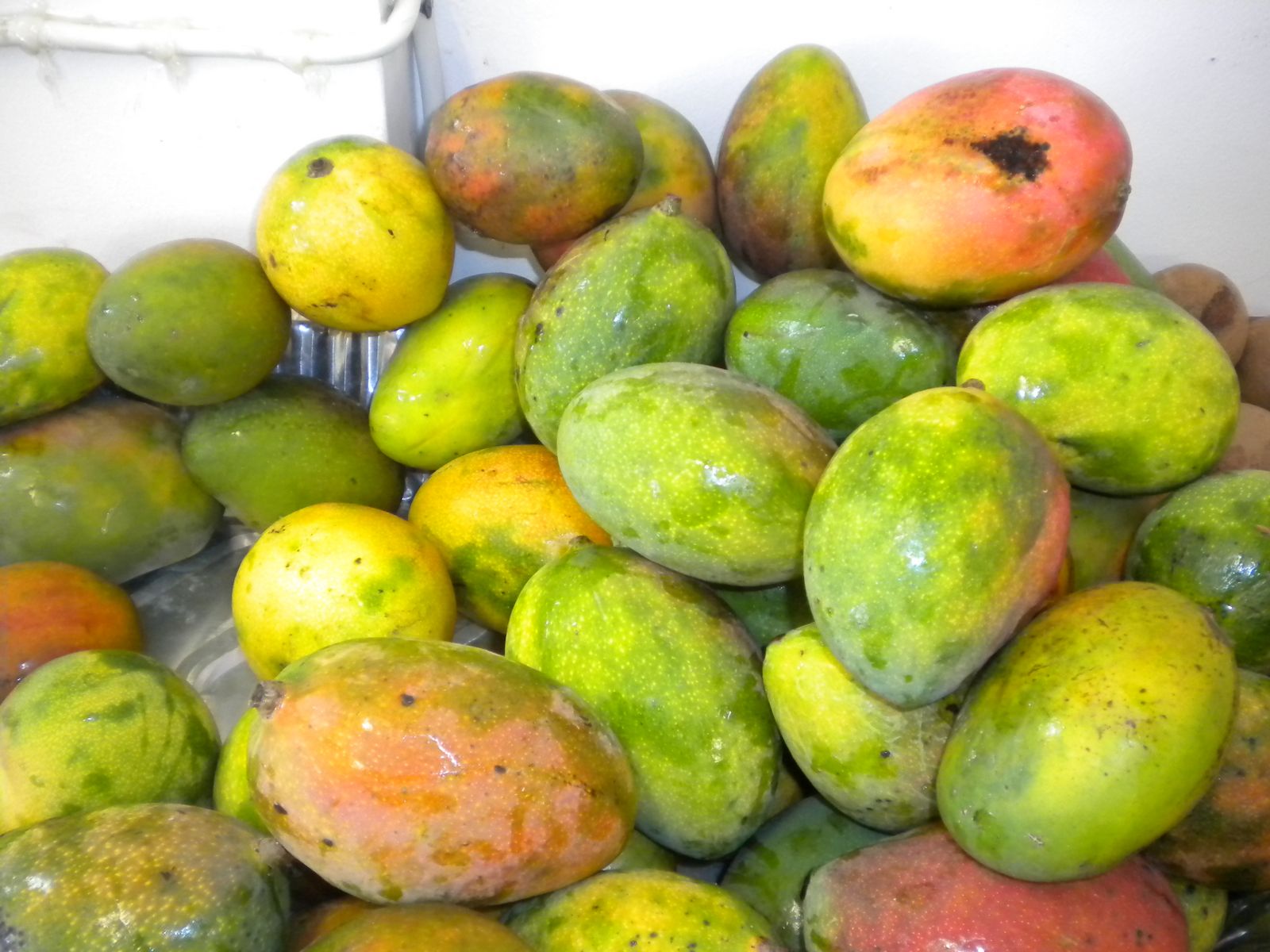 How to travel to Hawaii by self travel vacation ? Tropical Fruits in