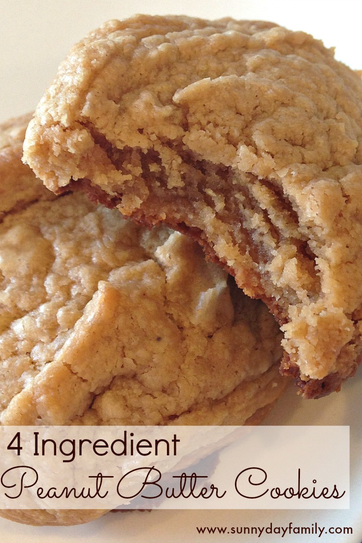 4 Ingredient Peanut Butter Cookies Sunny Day Family