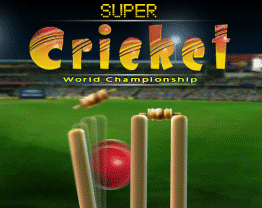 Super Cricket Game