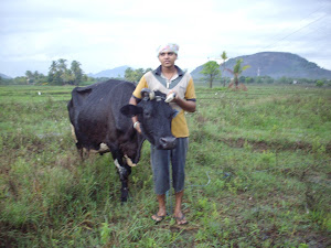 Farmer Nadeka with his Freisian cow "Lucky" .
