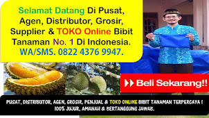 AGEN BIBIT DURIAN