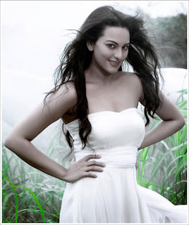Bollywood Beautiful Actress Sonakshi Sinha's Pictures With Biography