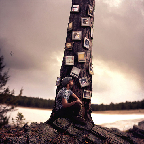 8692960038 ae6ff43386