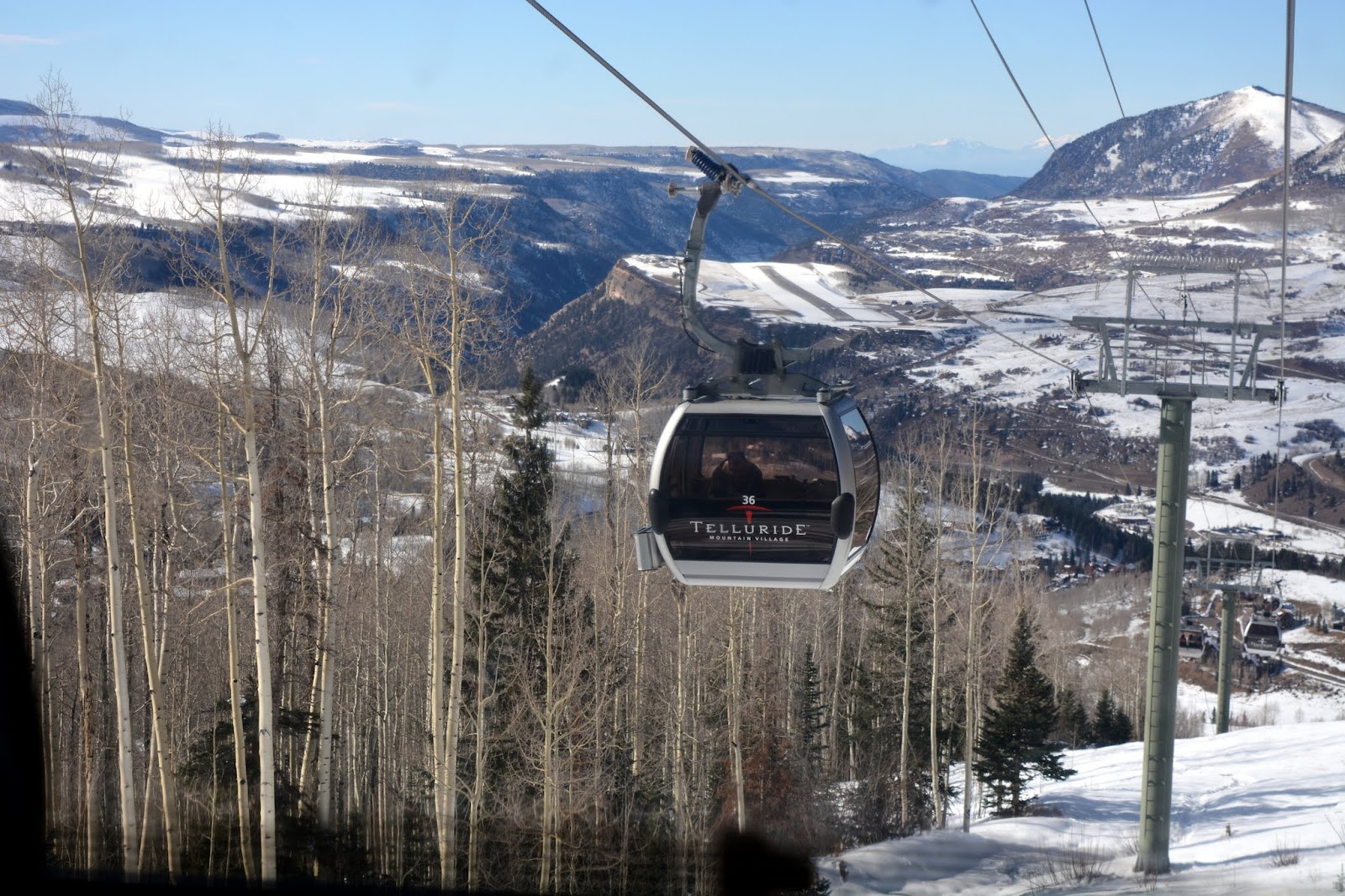 Mille Fiori Favoriti Gondola Ride from Telluride to Mountain Village