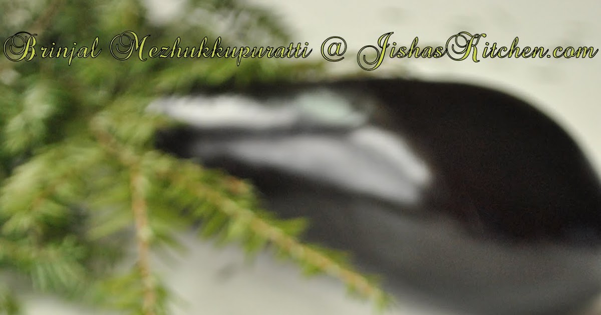 ! Jisha's Kitchen ! Brinjal Mezhukkupuratti Indian Recipes, Kerala