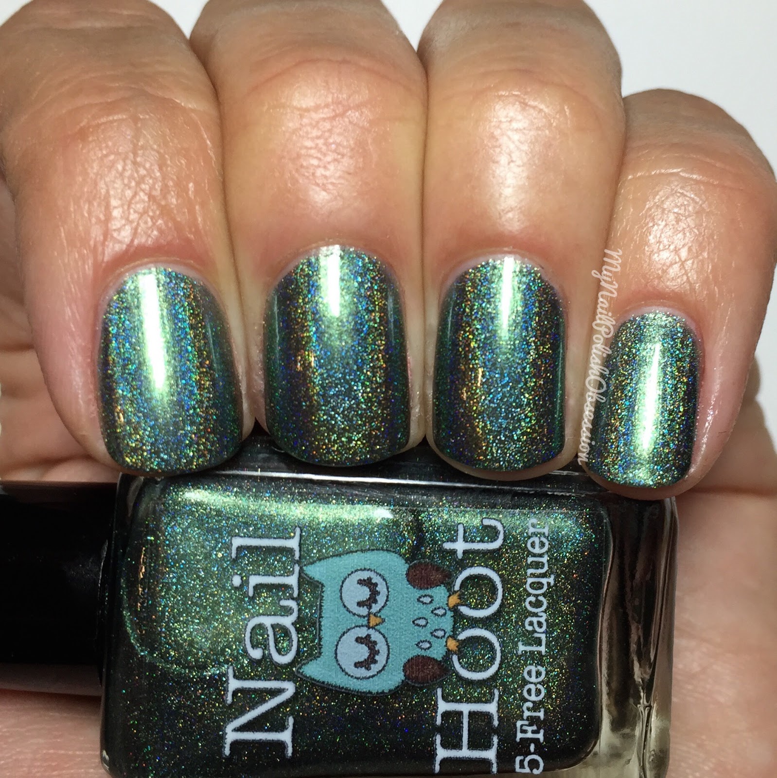 My Nail Polish Obsession Nail Hoot Limited Edition Bible Stories