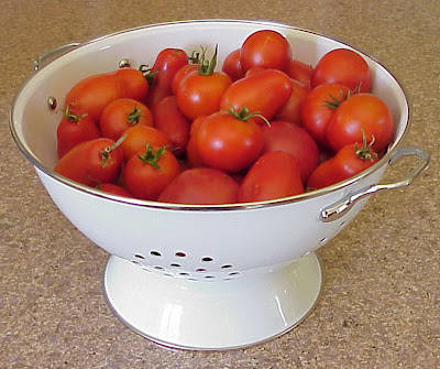 garden tomato salsa