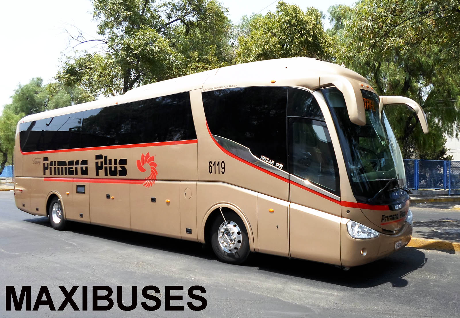 MAXIBUSES PRIMERA PLUS