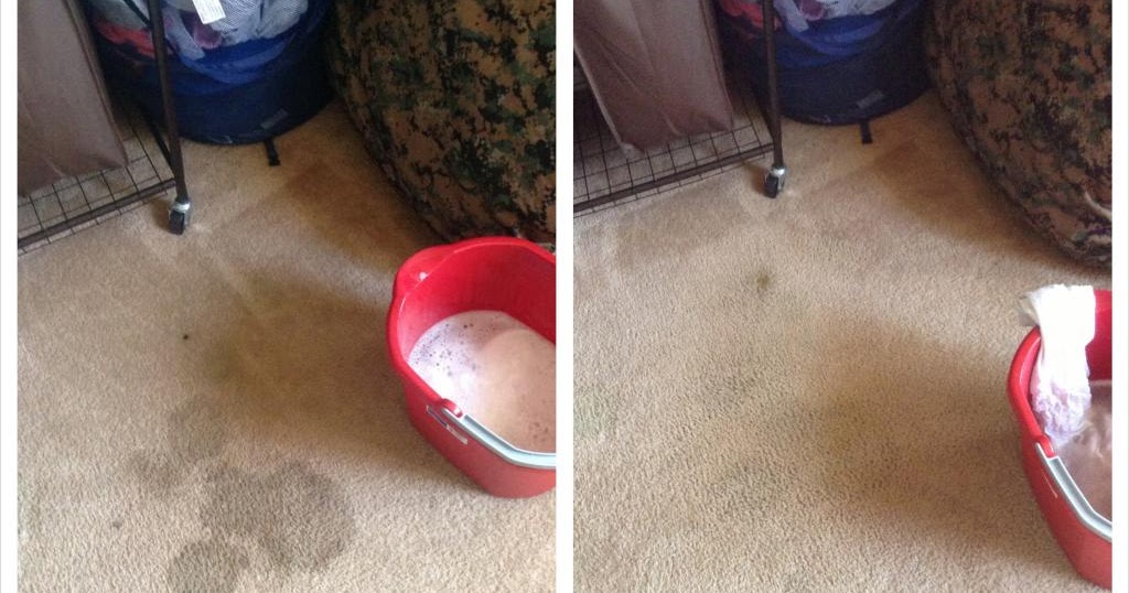 spunky nerd mama Homemade Carpet Cleaner Dawn + Peroxide