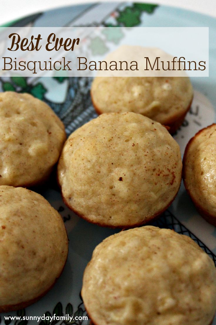Best Ever Bisquick Banana Muffins Sunny Day Family