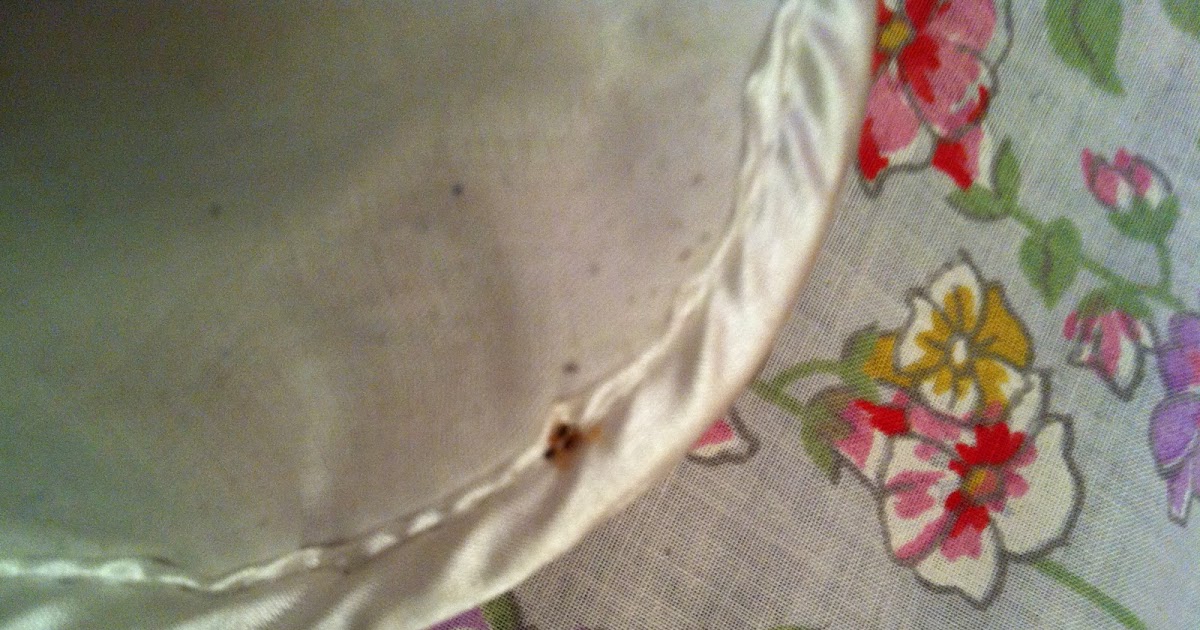 The Bed Bug Coach Pictures of Bed bugs on the pillow case hem.