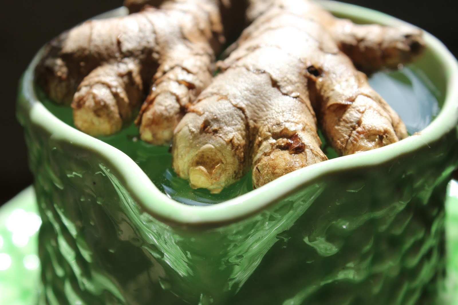 How to grow your own organic turmeric and ginger in a cold climate for