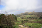 Vale de Ovil