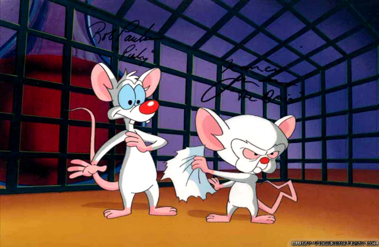Pinky and Brain Pinky and Brain