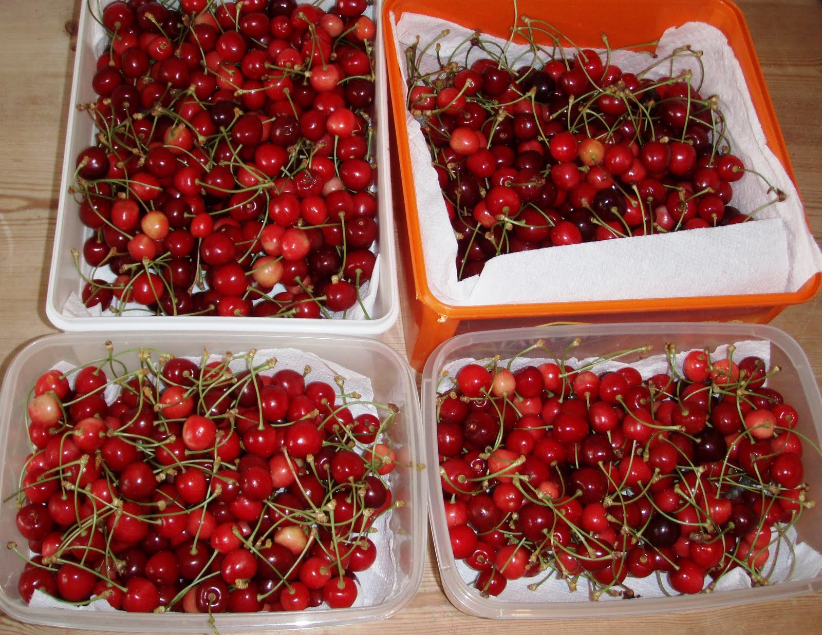 The Urbane Forager Cherry Picking the Best