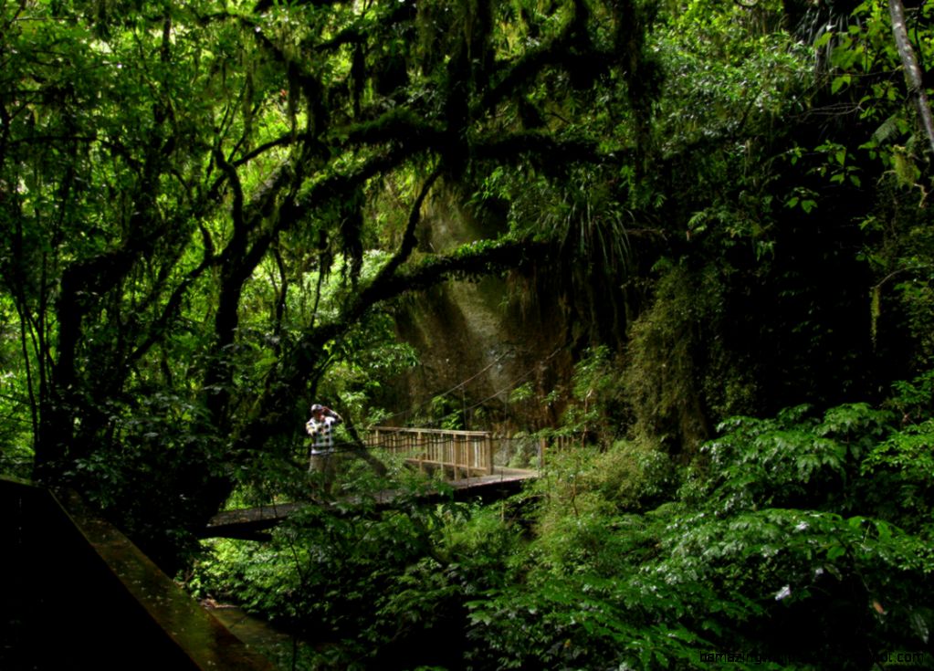 Josiahs New Zealand Travelogue December 2009 January 2010 Josiahs New Zealand Travelogue December 2009 January 2010