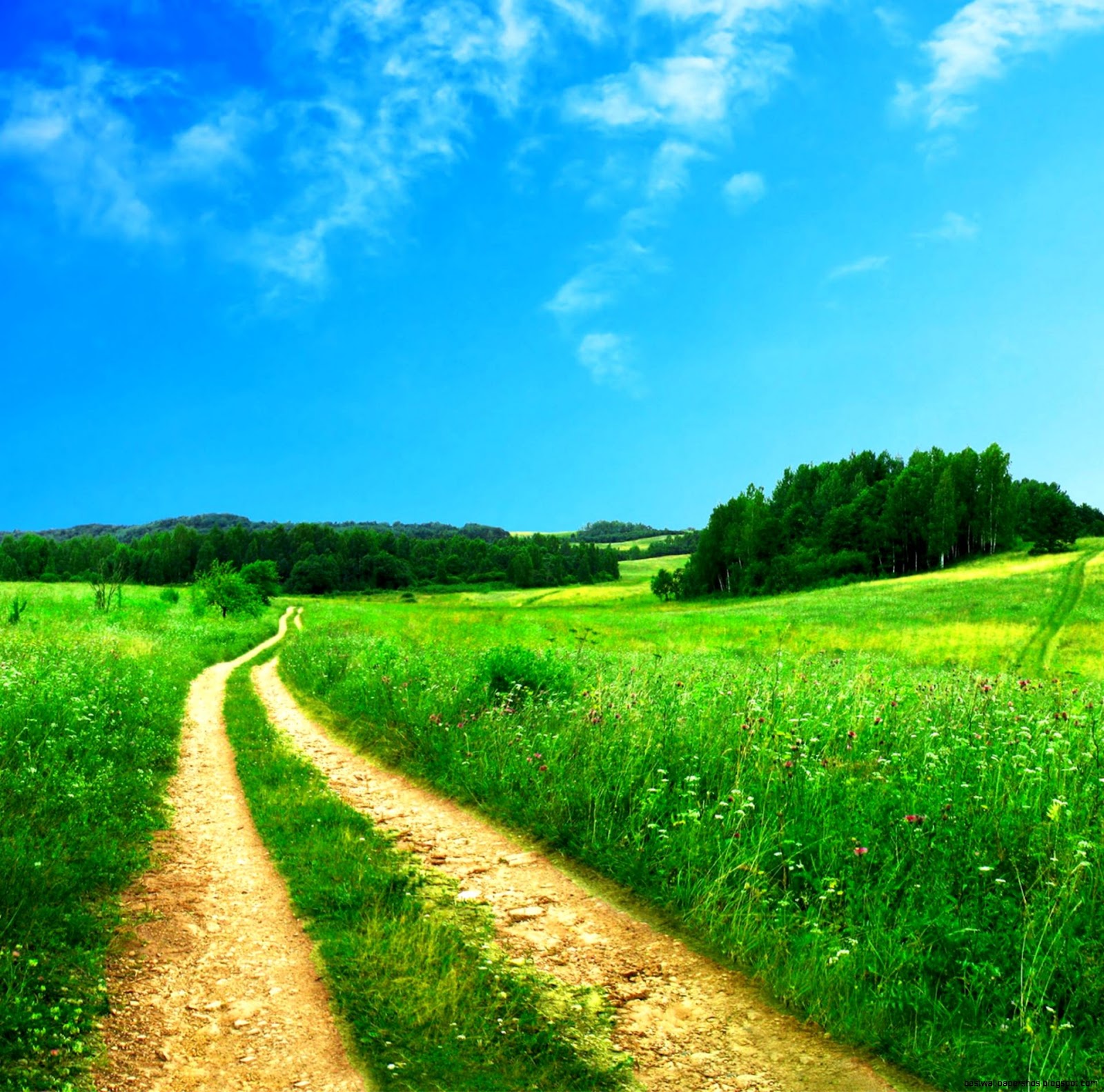 Green Landscape Sceneries Green Landscape Sceneries