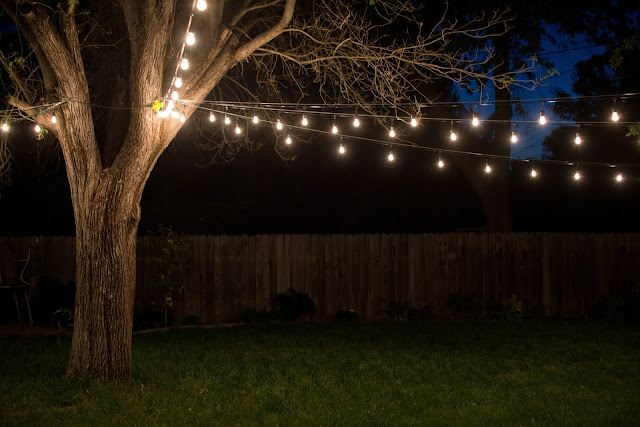 Putting up industrial vintage string lights in the backyard