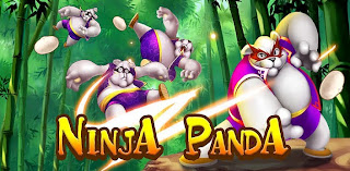 Ninja Panda 