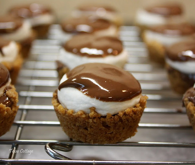 smores cups
